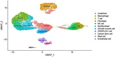 Single-cell RNA-sequencing and microarray analyses to explore the pathological mechanisms of chronic thromboembolic pulmonary hypertension